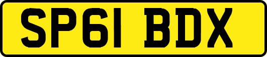 SP61BDX