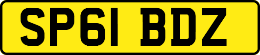 SP61BDZ