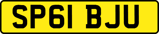 SP61BJU