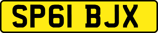 SP61BJX