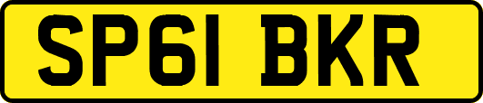 SP61BKR