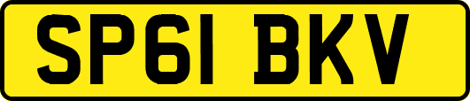 SP61BKV