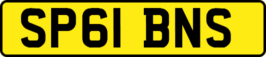 SP61BNS
