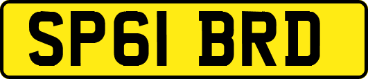 SP61BRD