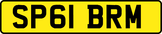 SP61BRM