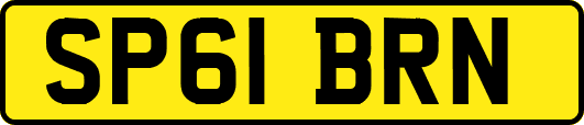 SP61BRN