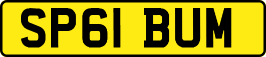 SP61BUM