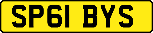SP61BYS