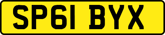 SP61BYX