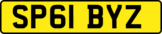 SP61BYZ