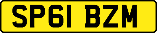 SP61BZM