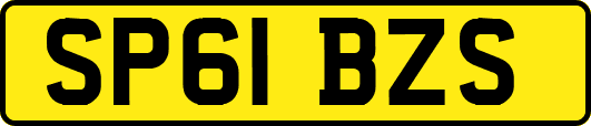 SP61BZS