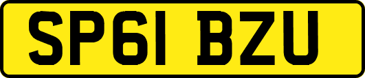 SP61BZU