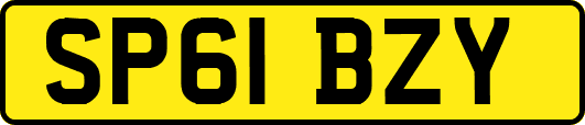 SP61BZY