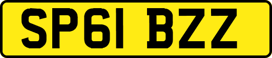 SP61BZZ