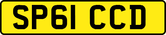 SP61CCD
