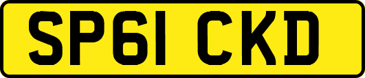 SP61CKD