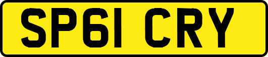 SP61CRY