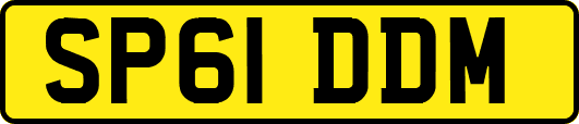 SP61DDM