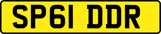 SP61DDR