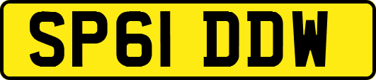 SP61DDW