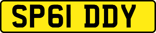 SP61DDY