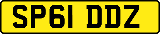 SP61DDZ