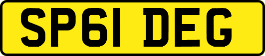 SP61DEG