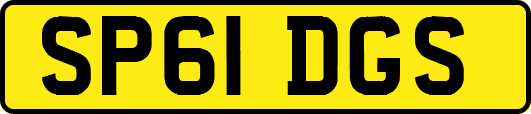 SP61DGS