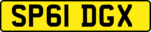 SP61DGX