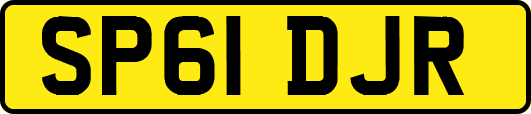 SP61DJR