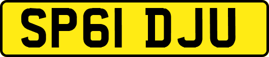 SP61DJU