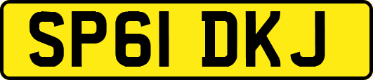 SP61DKJ