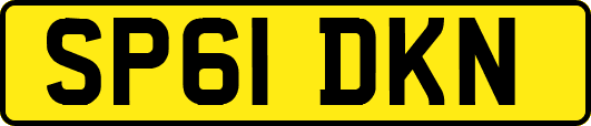 SP61DKN