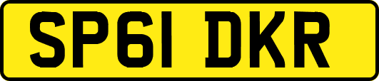 SP61DKR