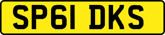 SP61DKS