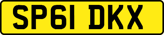 SP61DKX