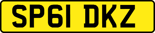 SP61DKZ