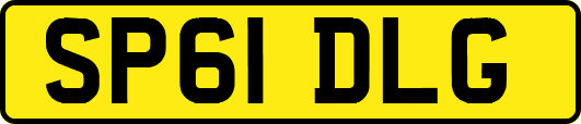 SP61DLG