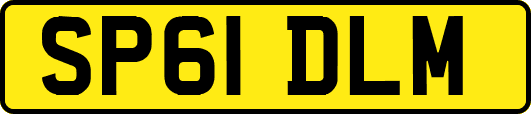 SP61DLM