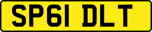 SP61DLT