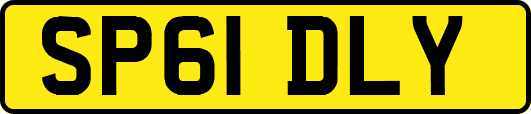 SP61DLY
