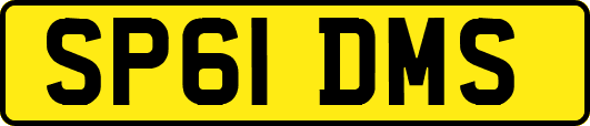 SP61DMS
