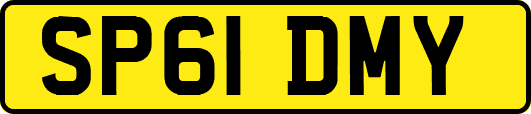 SP61DMY