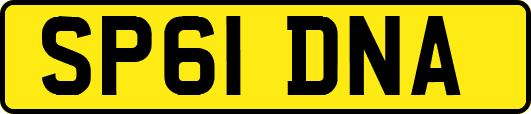SP61DNA