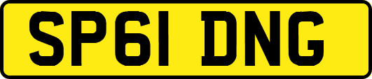 SP61DNG