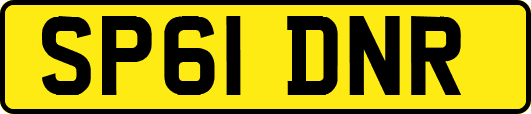 SP61DNR