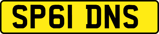 SP61DNS
