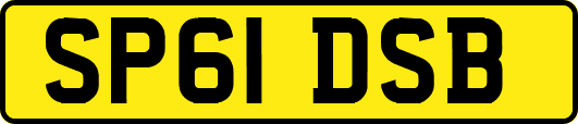 SP61DSB