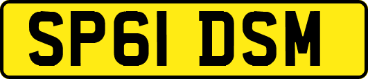 SP61DSM